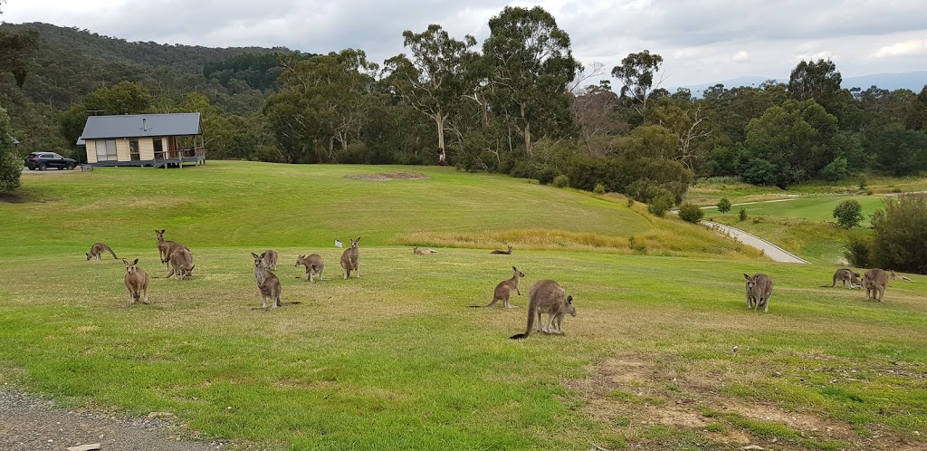 Yering Gorge Cottages | 215 Victoria Rd, Yering VIC 3770, Australia | Phone: (03) 9739 0110