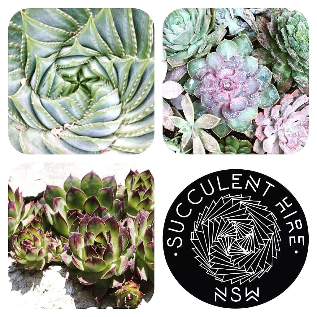 Succulent Hire NSW | general contractor | 6 Strathmore Rd, Caves Beach NSW 2281, Australia | 0406399276 OR +61 406 399 276