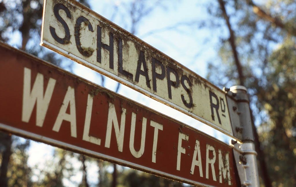 Valley Nut Groves | 235 Schlapps Rd, Gapsted VIC 3737, Australia | Phone: (03) 5752 2018