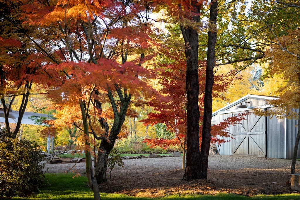 Peony Farm | 111 Myrtleford-Stanley Rd, Stanley VIC 3747, Australia | Phone: 0424 373 875