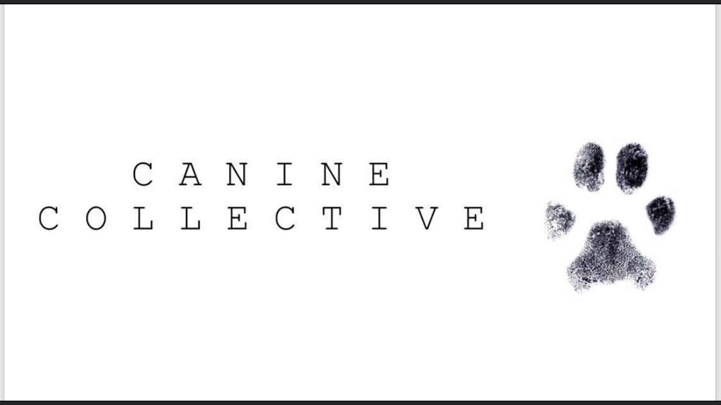 The Canine Collective | 3/72 May Rd, Sydney NSW 2099, Australia | Phone: 0451 114 258