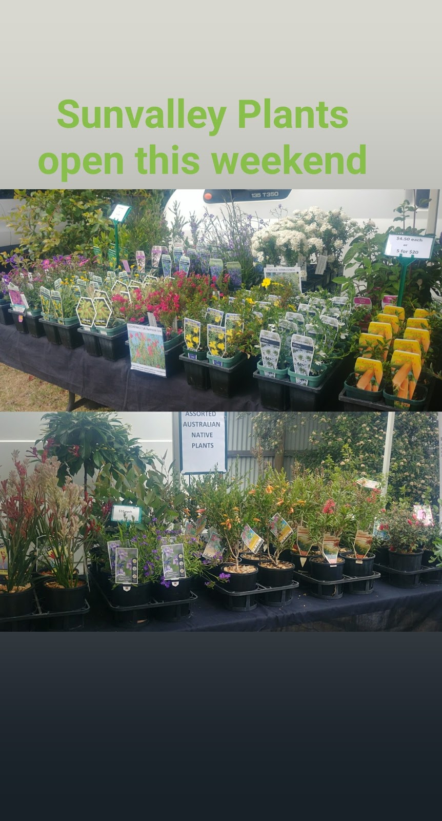 Sunvalley Plants Nursery | 1175 Dandenong-Hastings Rd, Langwarrin VIC 3910, Australia | Phone: (03) 9782 2825