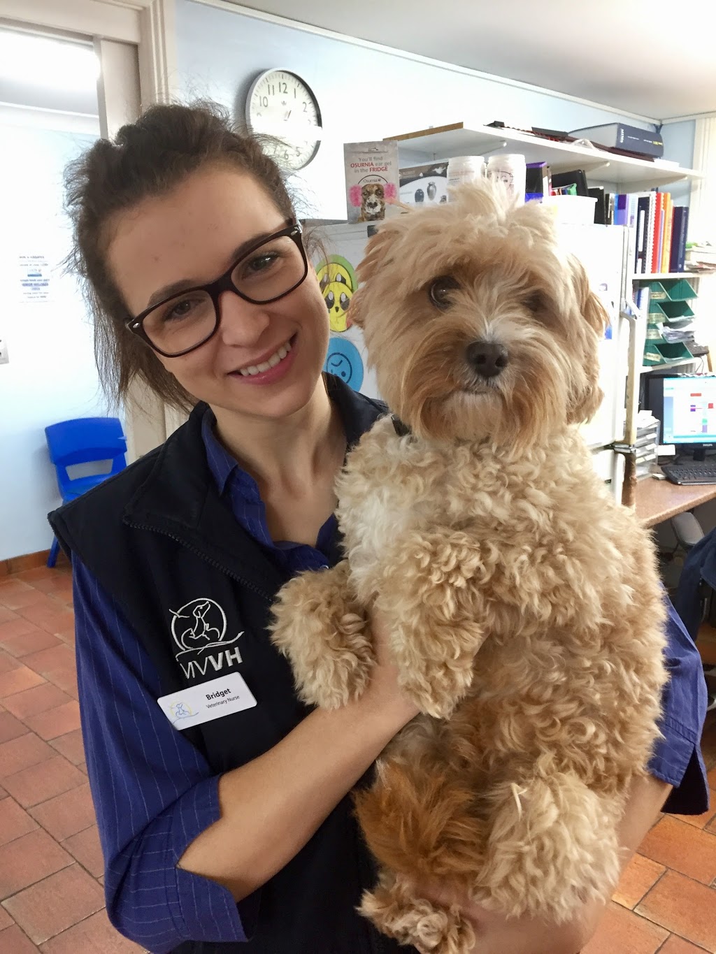 Mona Vale Vet Hospital - Puppy School | veterinary care | 22 Park St, Mona Vale NSW 2103, Australia | 0299992269 OR +61 2 9999 2269