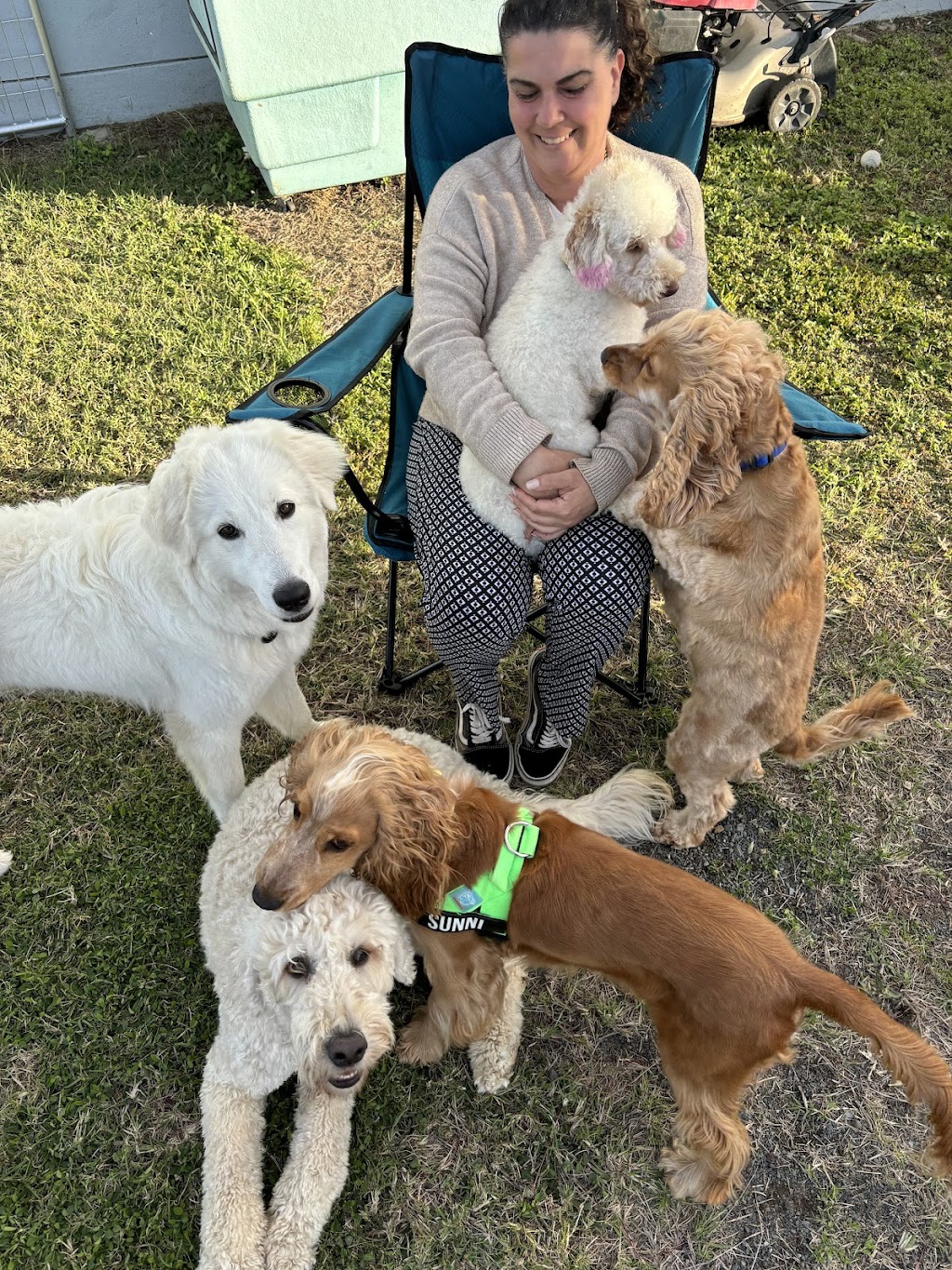 K9 Kulture Daycare and Spa | 15 Industrial Ave, Yeppoon QLD 4703, Australia | Phone: 0477 738 964