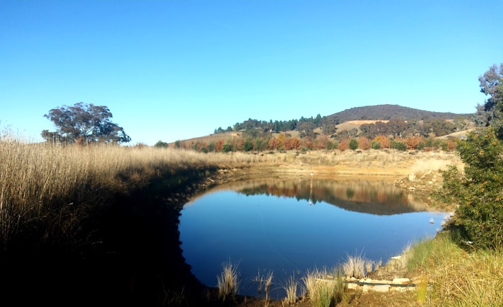 The Truffle Farm | 23 Mount Majura Rd, Australian Capital Territory 2609, Australia | Phone: 0400 483 082