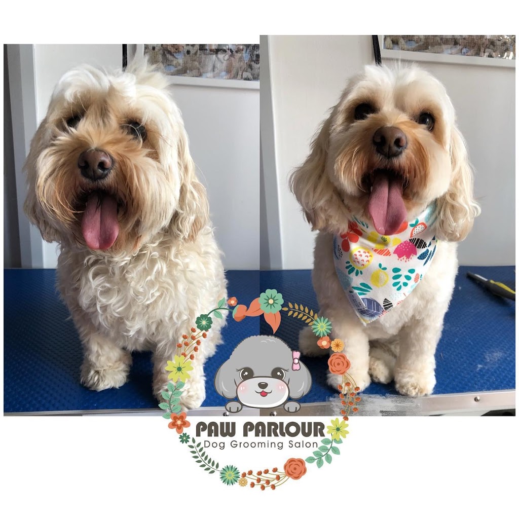 Paw Parlour Dog Grooming Salon | 107 Ayr St, Doncaster VIC 3108, Australia | Phone: 0432 118 960