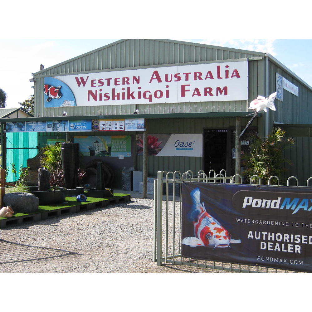 Western Australia Nishikigoi Farm | pet store | 627 Armadale Rd, Piara Waters WA 6112, Australia | 0893970105 OR +61 8 9397 0105