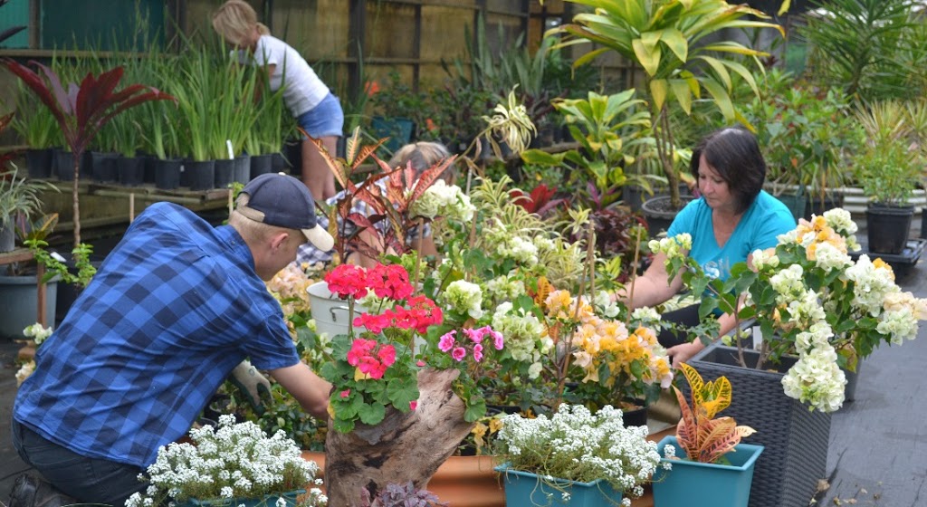 Green & Gold Wholesale Nursery | 164 Vonda Youngman Dr, Tamborine QLD 4270, Australia | Phone: 0400 465 092