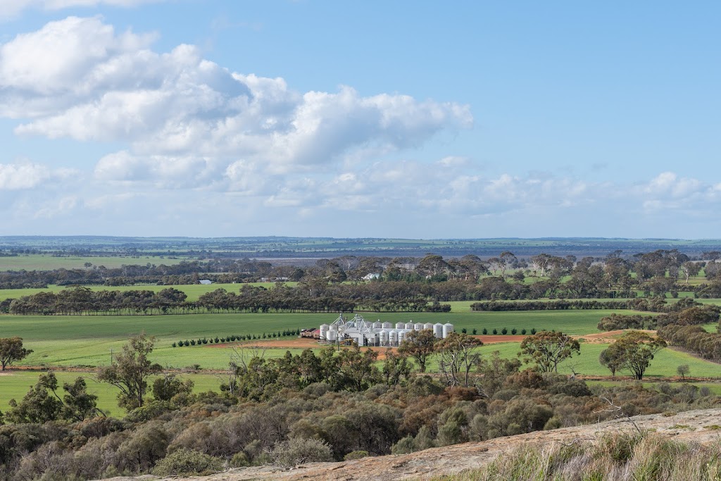 Great Southern Seed Works | Bullock Hills Rd, Wagin WA 6315, Australia | Phone: 0408 611 193