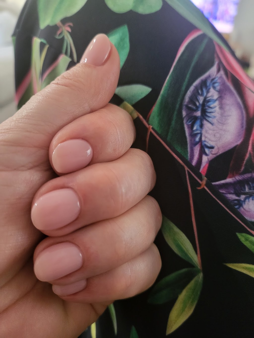 Painted by Ek. | Pincally Cres, Ormeau QLD 4208, Australia | Phone: 0432 471 654