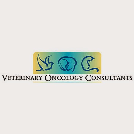 Veterinary Oncology Consultants | 379 Lake Innes Dr, Lake Innes NSW 2446, Australia | Phone: (02) 6585 3192