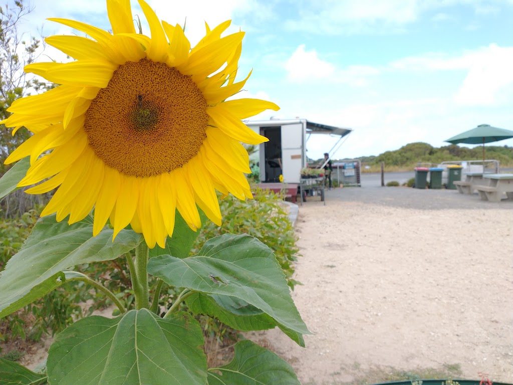 Coffee by the Creek Cafe | 8 Salt Creek Rd, Salt Creek SA 5264, Australia | Phone: 0407 978 985