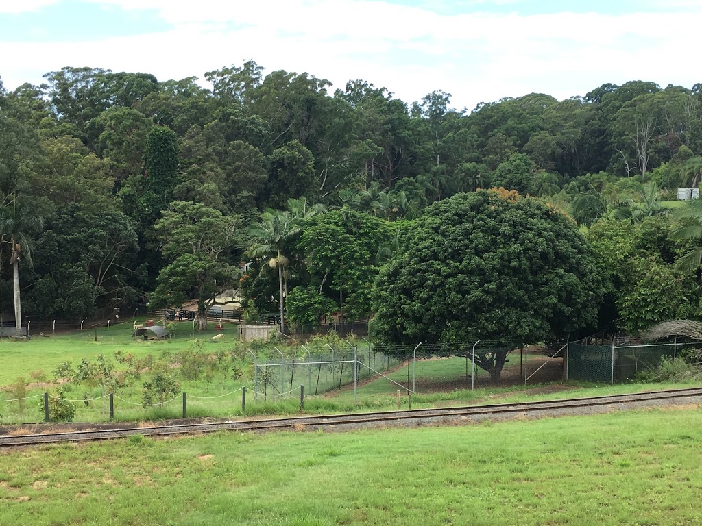 Wildlife HQ | zoo | 76 Nambour Connection Rd, Woombye QLD 4559, Australia | 0428660671 OR +61 428 660 671