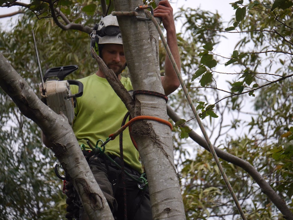 Kiama tree care |  | 51 Old Saddleback Rd, Kiama NSW 2533, Australia | 0426870023 OR +61 426 870 023
