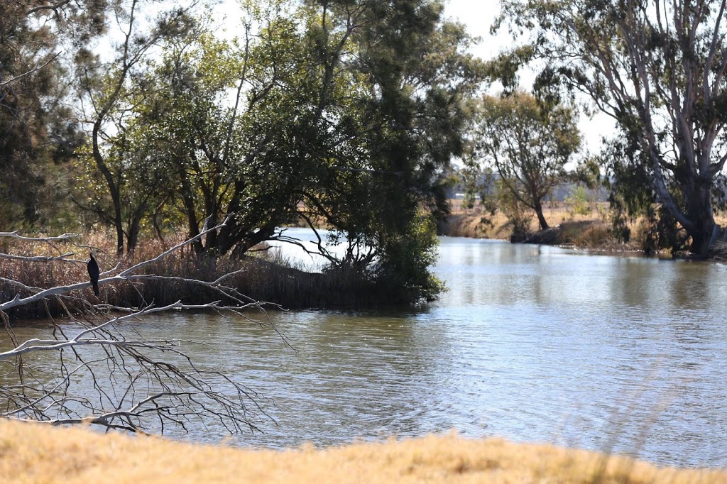 Everlasting Swamp National Park | Lower Southgate NSW 2460, Australia