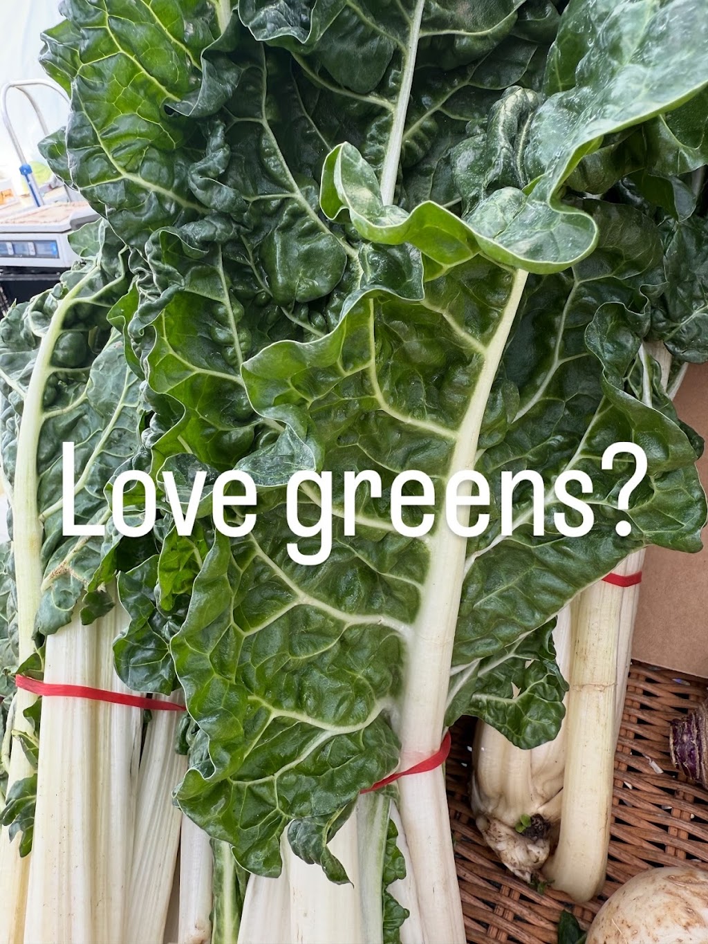 St Ives Showground Market | 454A Mona Vale Rd, St Ives NSW 2075, Australia | Phone: (02) 9999 2226