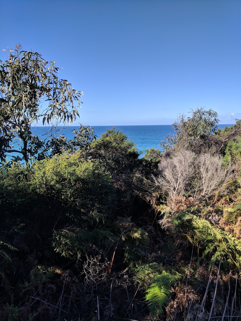 Sheoak Falls Car Park | parking | 2530 Great Ocean Rd, Lorne VIC 3232, Australia