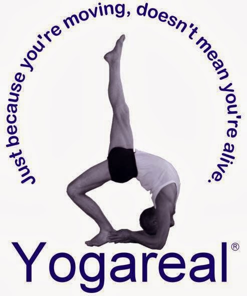 Yogareal Yoga Studio - Albert Park | gym | 45 Victoria Ave, Albert Park VIC 3206, Australia | 0419504831 OR +61 419 504 831