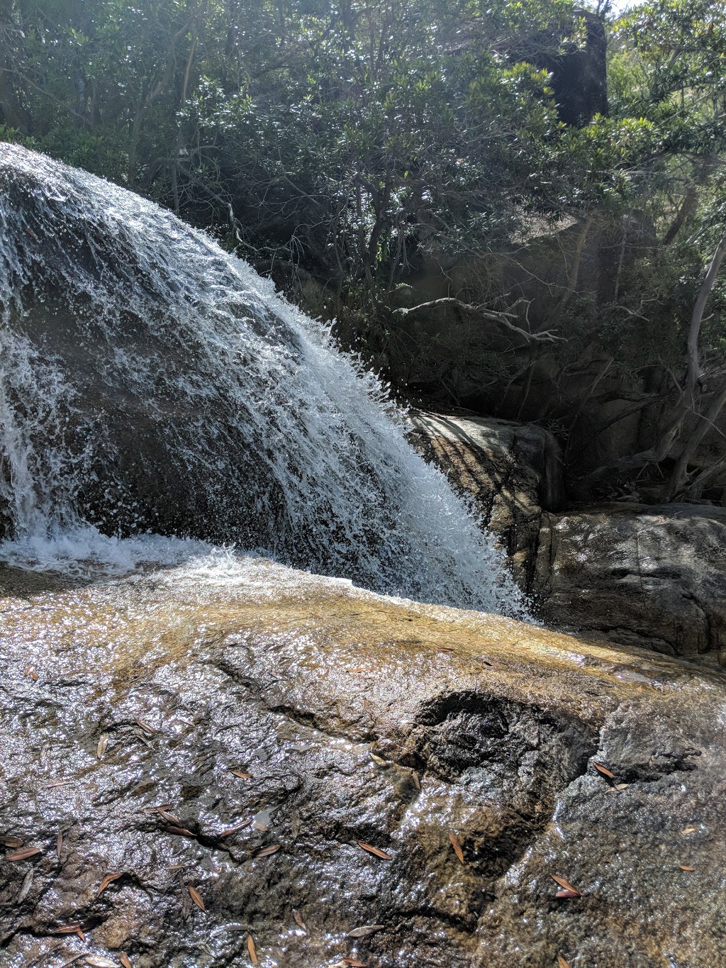 Emerald Creek Falls | Mareeba QLD 4880, Australia | Phone: (07) 4092 5674