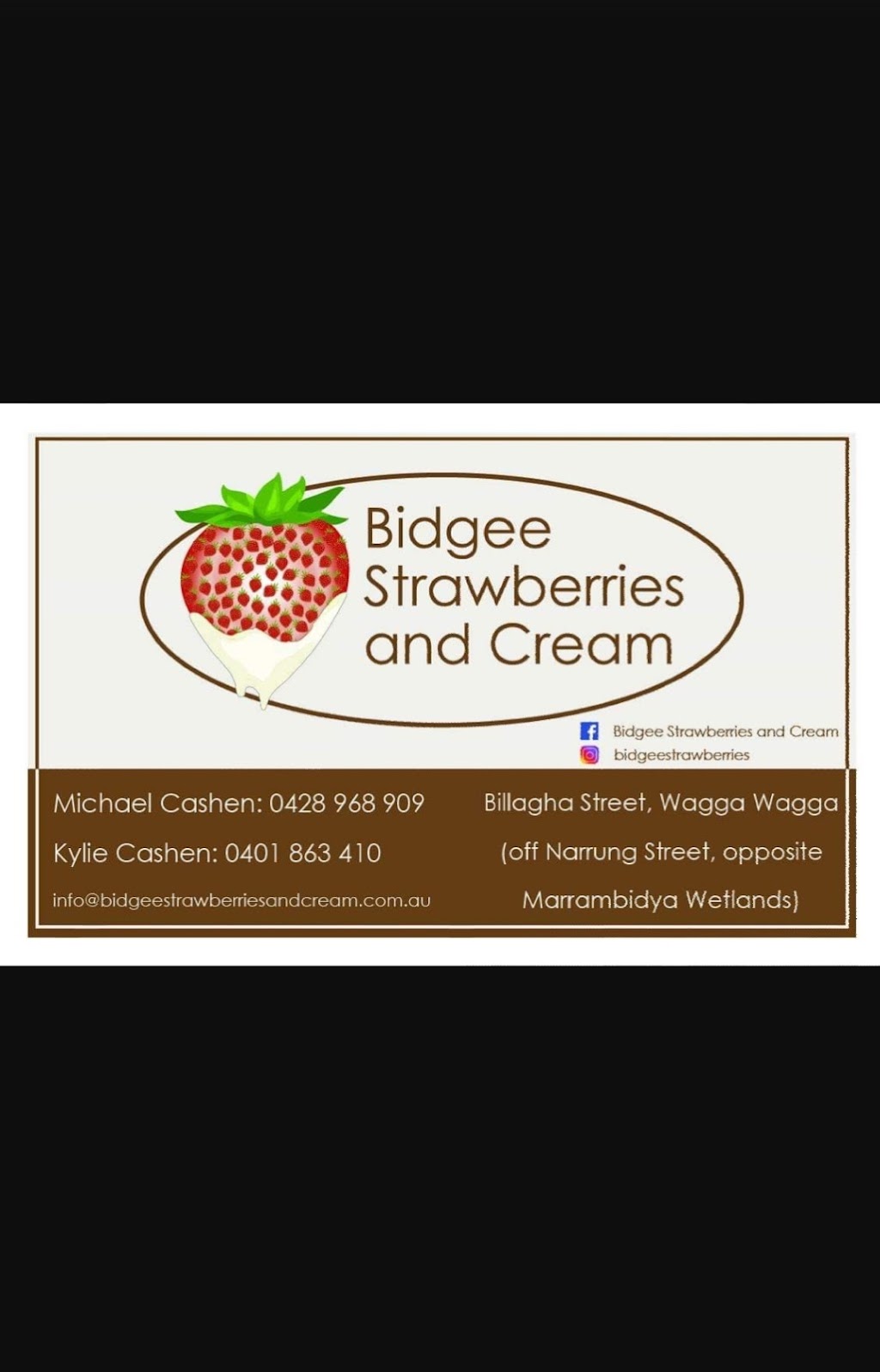 Bidgee Strawberries And Cream | Billagha St, Wagga Wagga NSW 2650, Australia | Phone: 0428 968 909