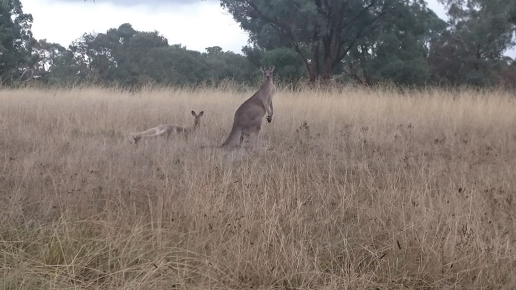 Attunga Point | Yarralumla ACT 2600, Australia