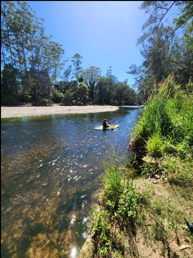 Bundilla River Camp | 117 Myall Scrub Creek Rd, Ballengarra NSW 2441, Australia | Phone: 0437 858 232