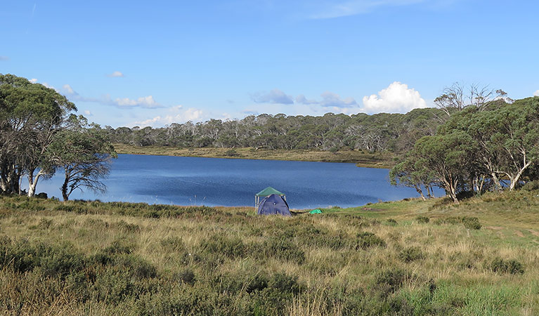 Three Mile Dam campground | Link Road, Kosciuszko National Park NSW 2627, Australia | Phone: (02) 6947 7025