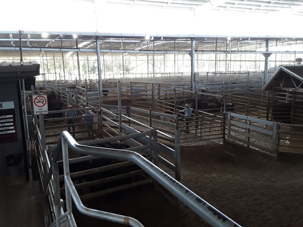 Northern Rivers Livestock Exchange | Dargaville Dr, Casino NSW 2470, Australia | Phone: (02) 6662 3500