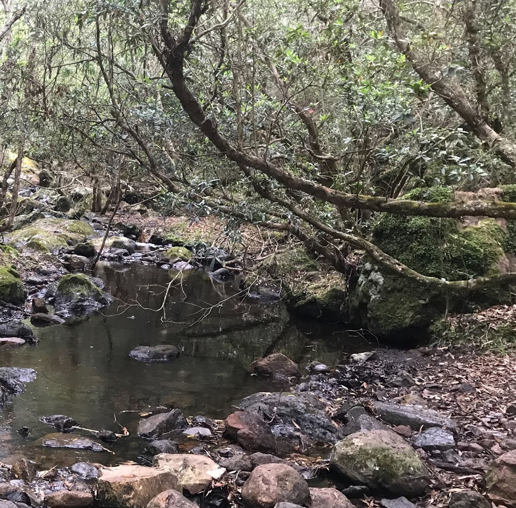 Spring Creek Falls |  | Caves Rd, Buchan VIC 3885, Australia | 131963 OR +61 131963