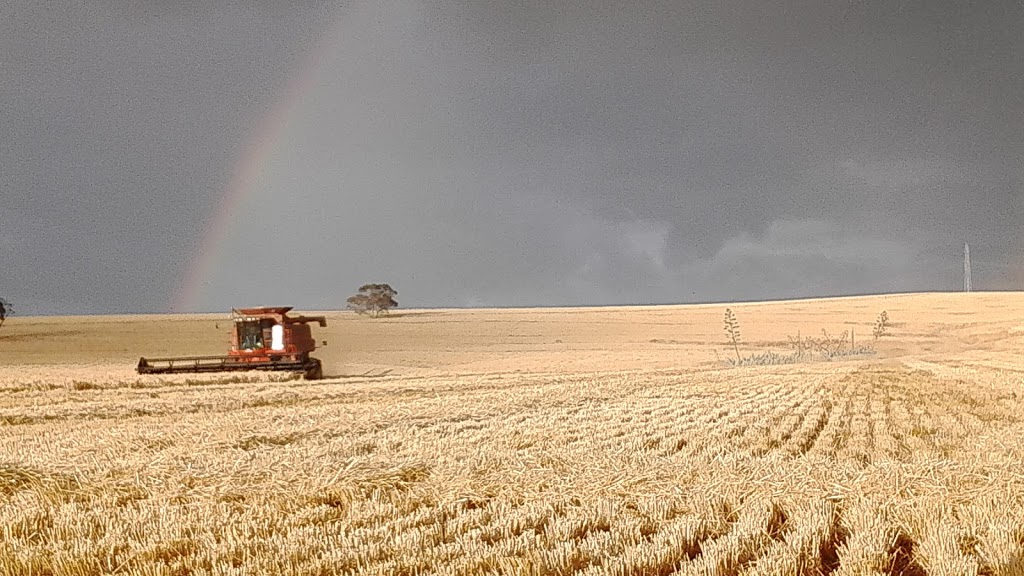 Monta Flora | 931 Salter Springs Rd, Salter Springs SA 5401, Australia | Phone: 0428 286 097