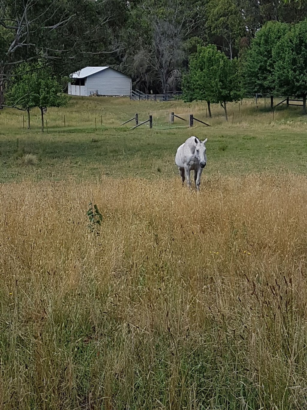 Bellmore Estate | lodging | 3 Birchwood Dr, Bundanoon NSW 2578, Australia