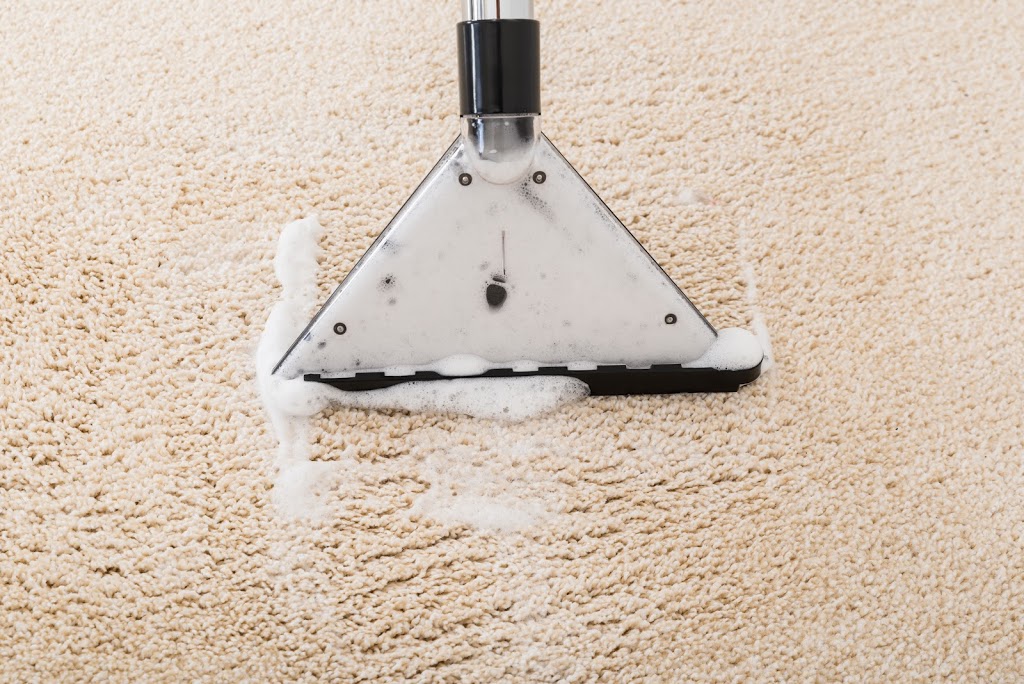 Carpet Cleaning South Melbourne | South Melbourne VIC 3205, Australia | Phone: 0480 025 277