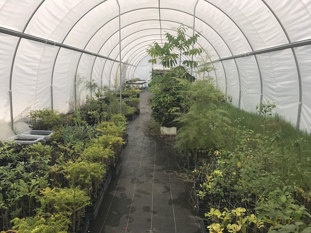 Bunya Nurseries |  | 15310 Bunya Hwy, Murgon QLD 4605, Australia | 0741682435 OR +61 7 4168 2435