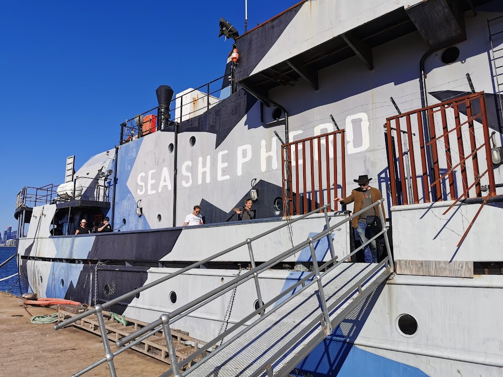 Sea Shepherd | 2 Ann St, Williamstown VIC 3016, Australia | Phone: 1300 623 267