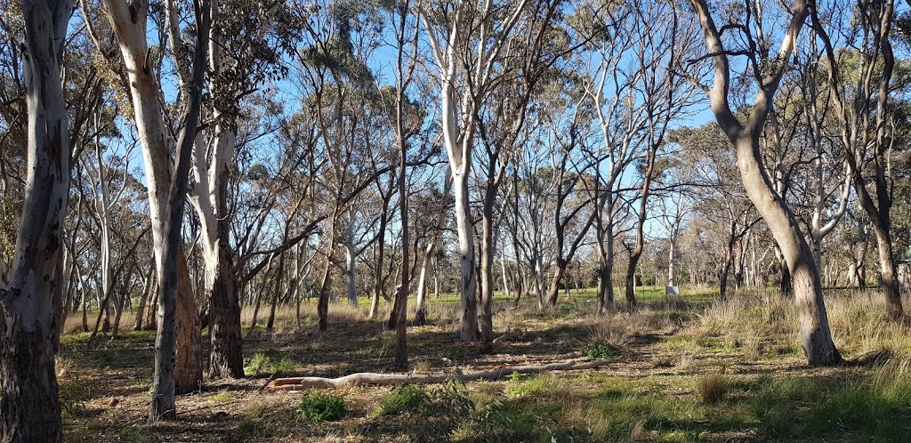 Caruana Woodland Reserve | Caruana Woodland, 1A Caruana Dr, Dingley Village VIC 3172, Australia
