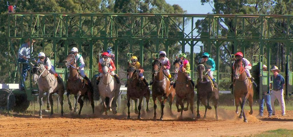 Miles & District Amateur Picnic Race Club | Racecourse Rd, Miles QLD 4415, Australia | Phone: 0427 545 902