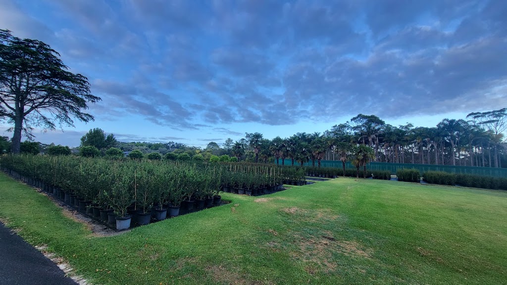Flora Nursery | 73a Pitt Town Rd, Kenthurst NSW 2156, Australia | Phone: (02) 9654 9670