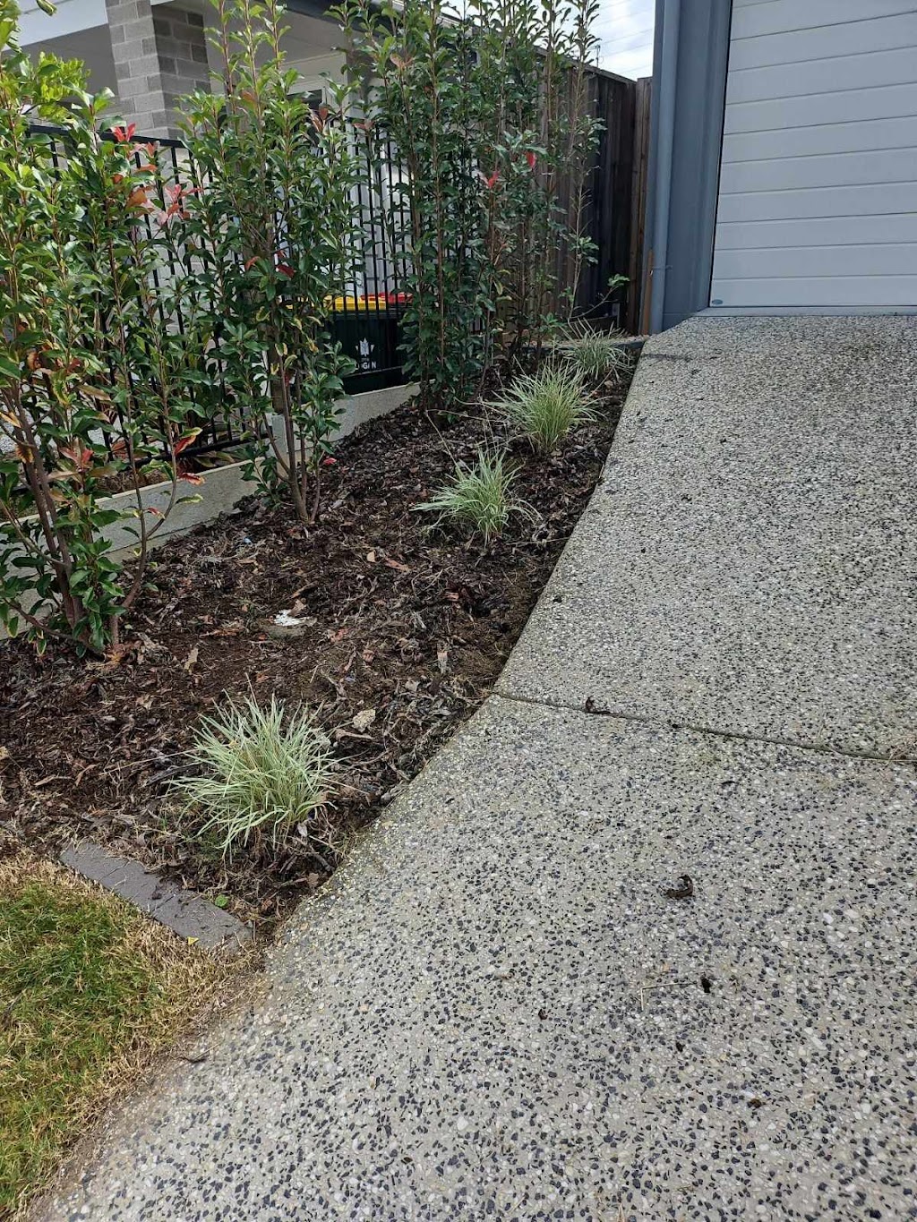 Green Garden Ninja | Yarrabilba Dr, Yarrabilba QLD 4207, Australia | Phone: 0433 186 444