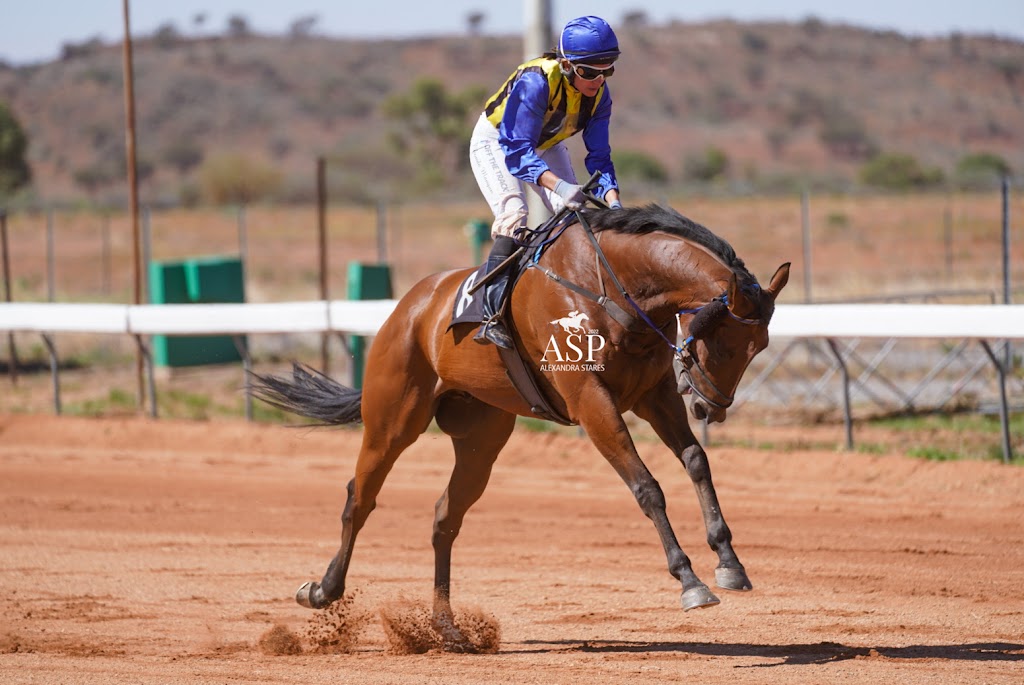 Broken Hill Racecourse | Broken Hill NSW 2880, Australia | Phone: 0437 250 286