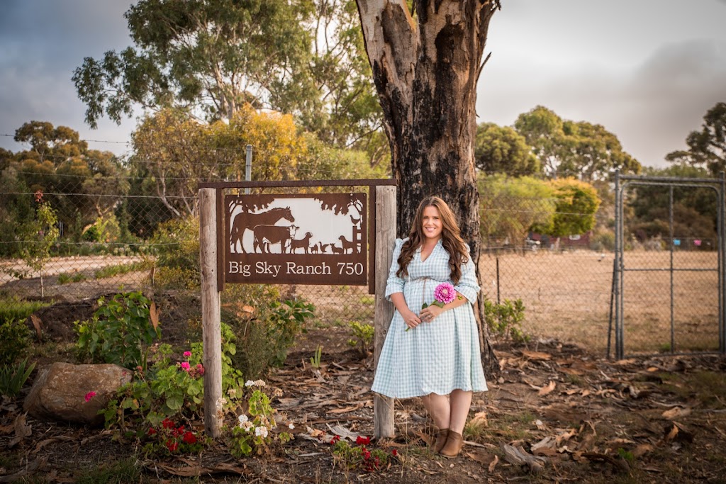 Big Sky Flower Farm | 750 Military Rd, Brukunga SA 5252, Australia | Phone: 0424 811 185