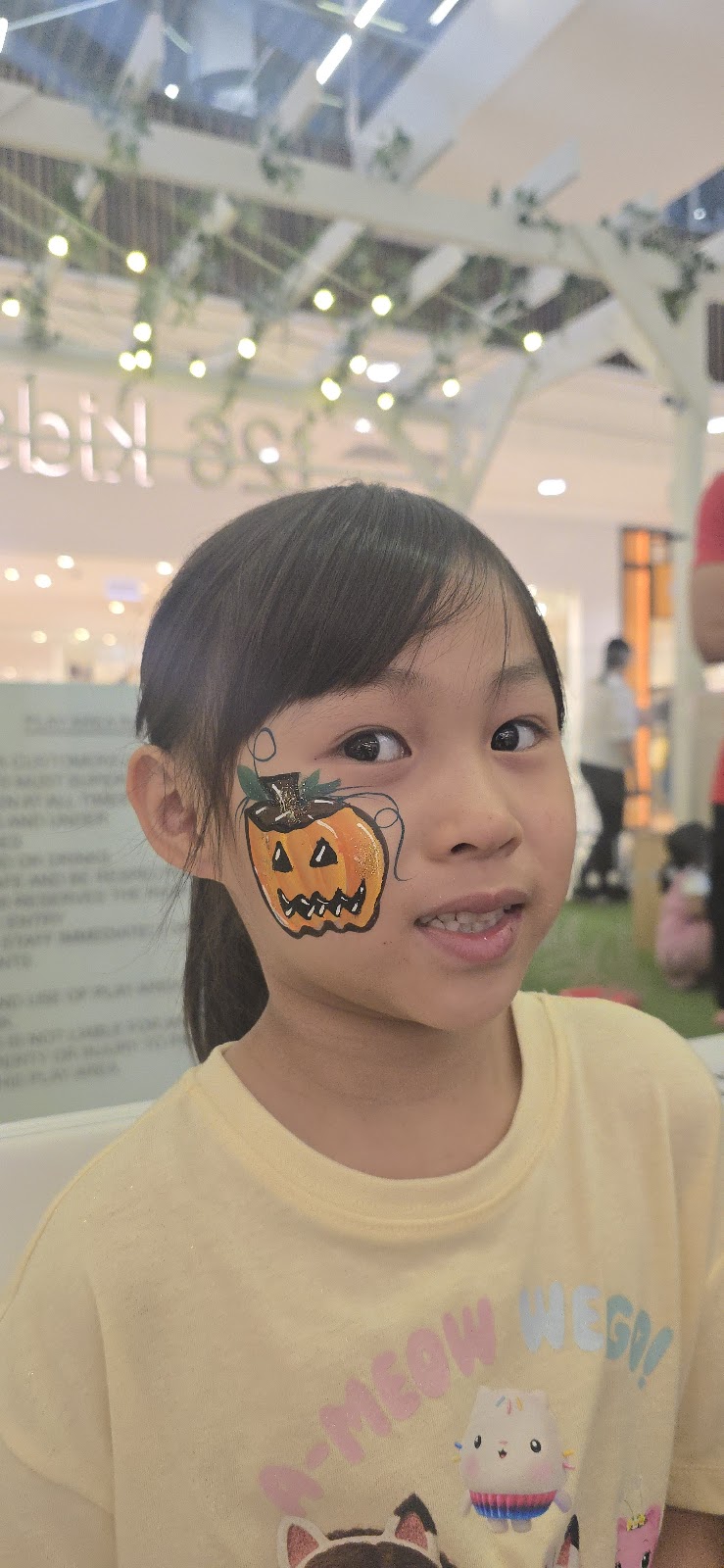 Face Painting by Carla | 4 Littlewood St, Fernvale QLD 4306, Australia | Phone: 0472 793 440