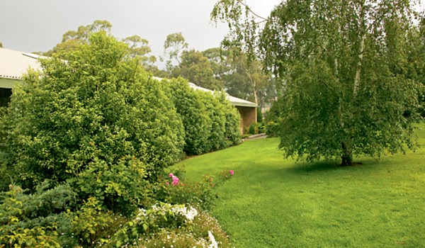 Riddell Gardens Aged Care | health | Corner Spavins Drive &, Riddell Rd, Sunbury VIC 3429, Australia | 0392185200 OR +61 3 9218 5200