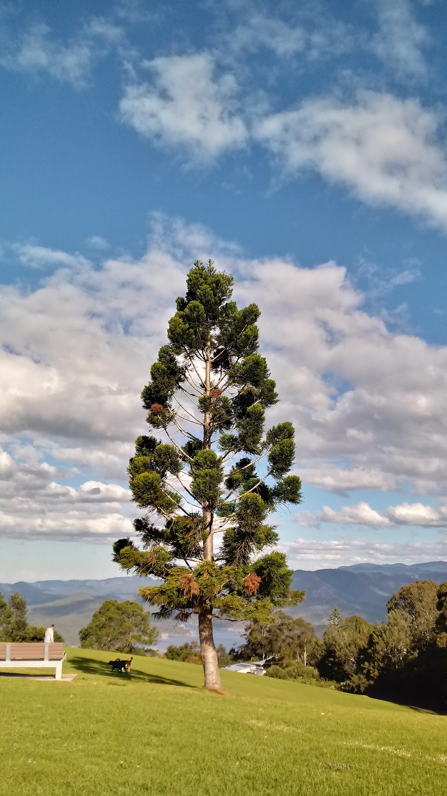 Syd Duncan Park - Adventure Play | 19 Outlook Ave, Lower Beechmont QLD 4211, Australia