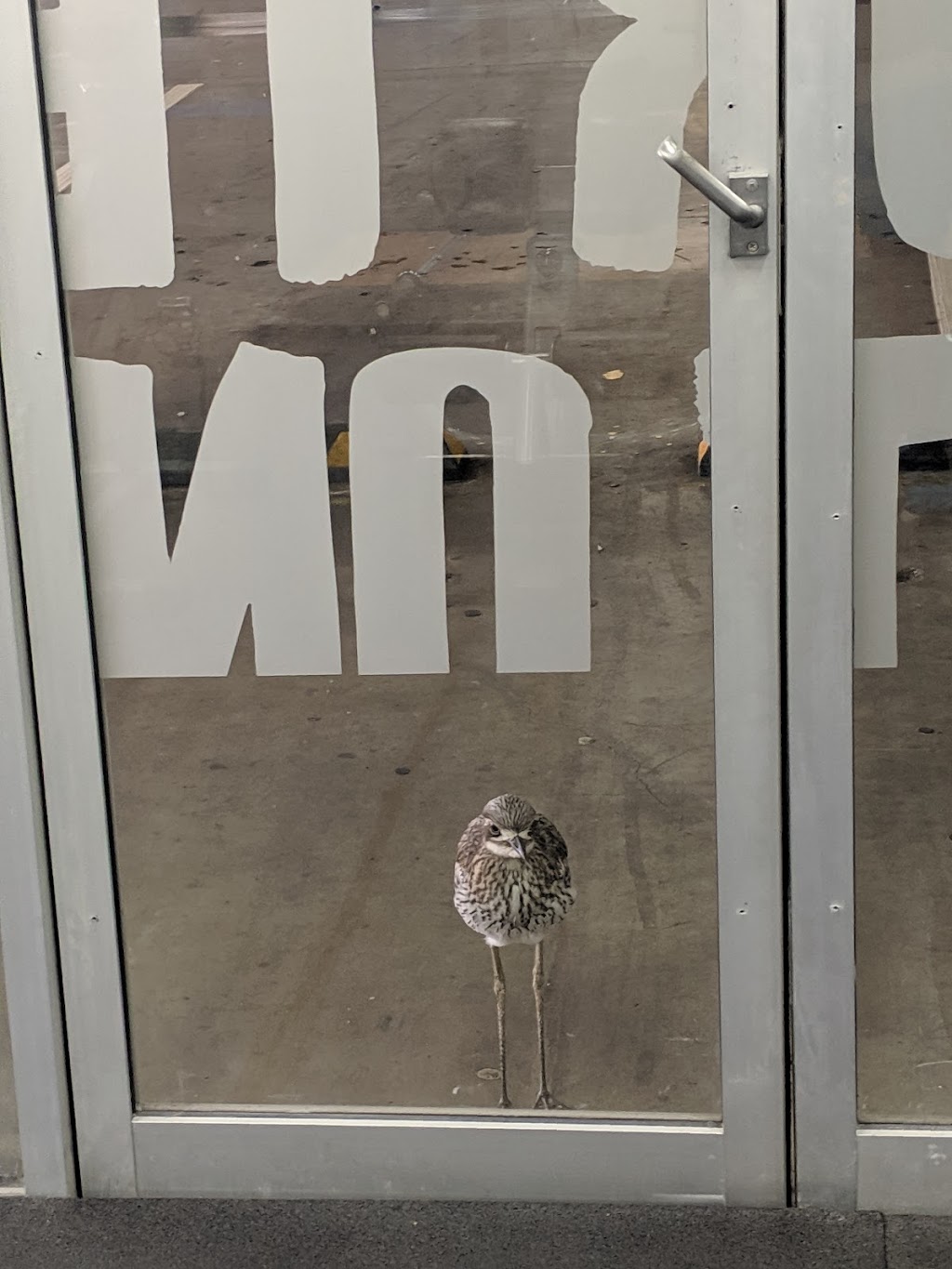 Jetts Greenslopes | Greenslopes Mall, b3/700 Logan Rd, Greenslopes QLD 4120, Australia | Phone: (07) 3847 2450