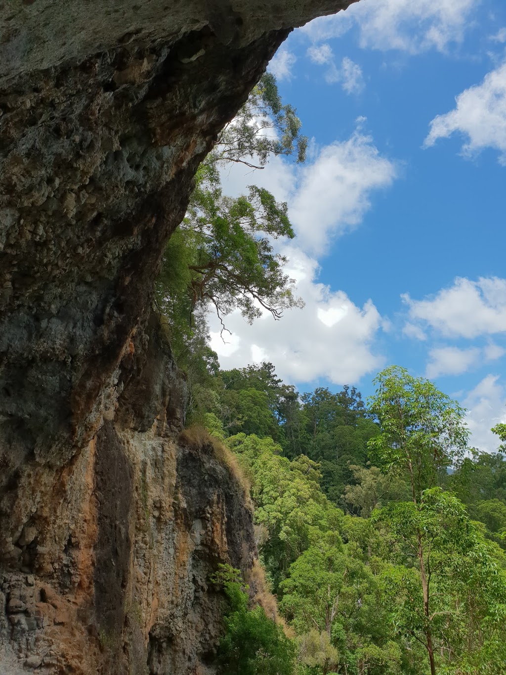 Lamington National Park - Binna Burra Section | Binna Burra Rd, Binna Burra QLD 4211, Australia