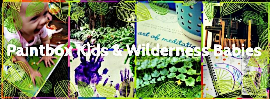 Paintbox Kids & Wilderness Babies | park | 4 Avondale St, Mount Sheridan QLD 4868, Australia | 0740456147 OR +61 7 4045 6147