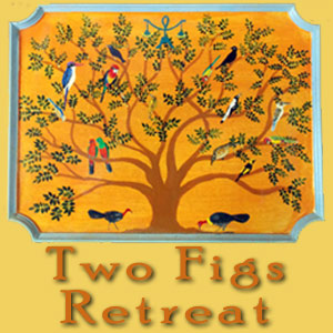 Two Figs Retreat | lodging | corner Newton Dr and Upper Tuntable Falls Rd, Nimbin NSW 2480, Australia | 0428912603 OR +61 428 912 603