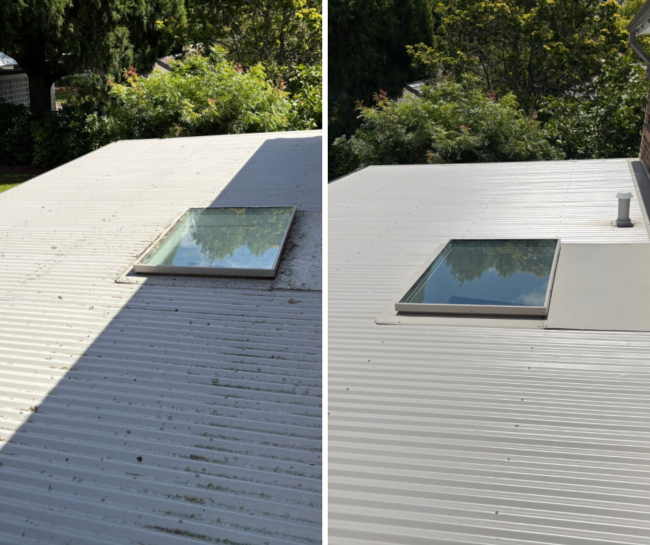 Absolute Exterior Cleaning | 17 Wisteria st, Moss Vale NSW 2577, Australia | Phone: 0423 464 906
