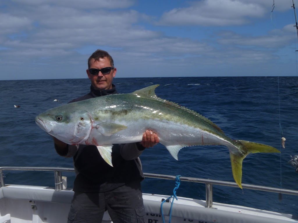 Reef Encounters Fishing Charters |  | 17 Osprey Dr, Marion Bay SA 5575, Australia | 0407609988 OR +61 407 609 988