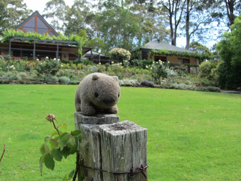 Wombat Hill Bed and Breakfast | 1010 Kangaroo Valley Rd, Bellawongarah NSW 2535, Australia | Phone: (02) 4464 1924